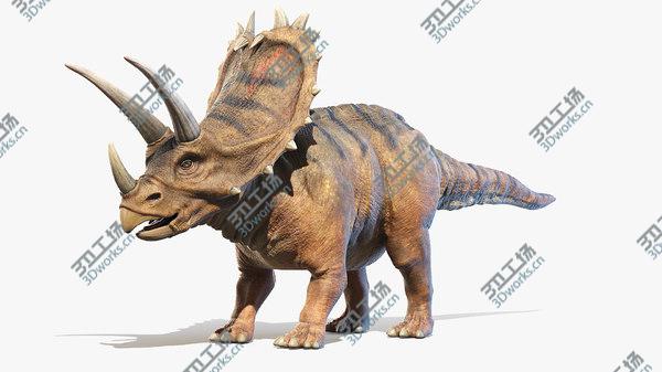 images/goods_img/20210312/Pentaceratops model/1.jpg